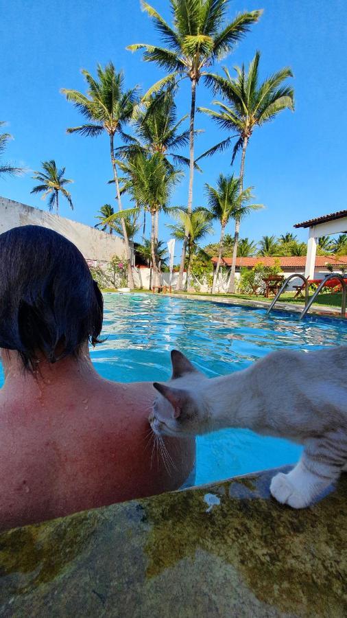 Gato Do Mato Hostel 컴부코 외부 사진