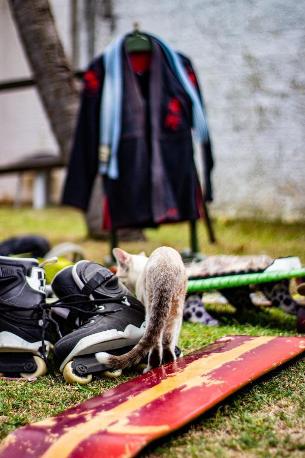 Gato Do Mato Hostel 컴부코 외부 사진